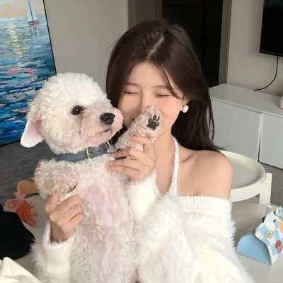 君有云第二季